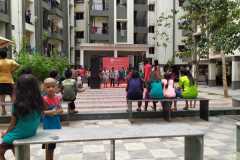 Society-Activity